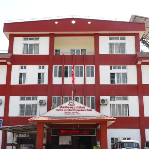 सैनामैनामा नागरिकता सिफारिस निःशुल्क